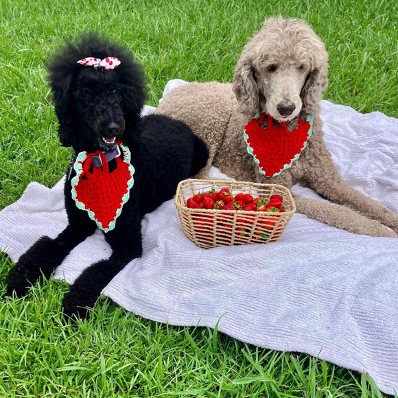 Strawberry Dog Bandana | Handmade Crochet Cotton Bandana - Picture 5 of 5